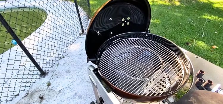 How to Choose the Best Gas Grill Beginner