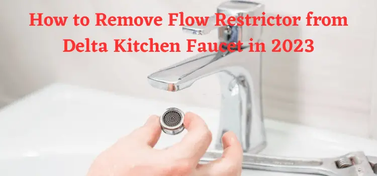 How to Remove Flow Restrictor from Delta Kitchen Faucet