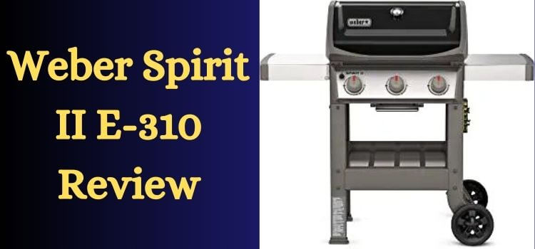 Weber Spirit II E-310 Review
