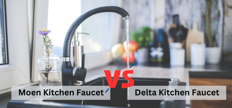 Moen vs Delta Kitchen Faucet 