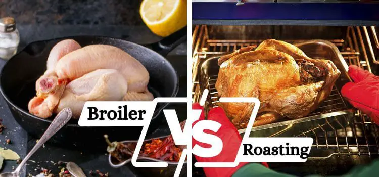 Broiler Pan vs Roasting Pan