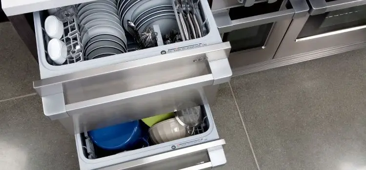 Double Drawer Dishwasher vs Standard